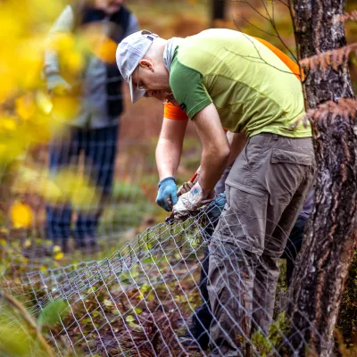 Teilnehmer beim Zaunabbau