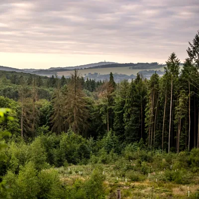 Weiter Blick über eine Waldlandschaft