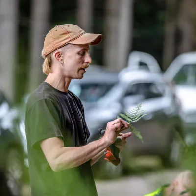 Projektleiter zeigt etwas an Farn