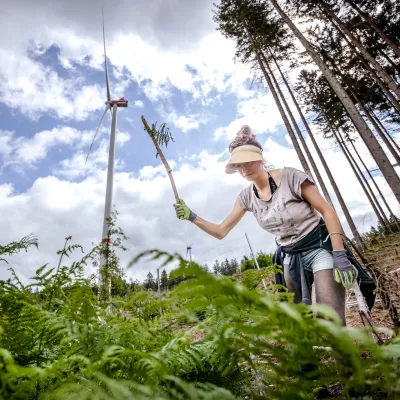 Teilnehmerin mit Knüppel bei der Zurückdrängung von Farn