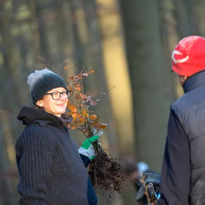 Frau mit Buchenverjüngung