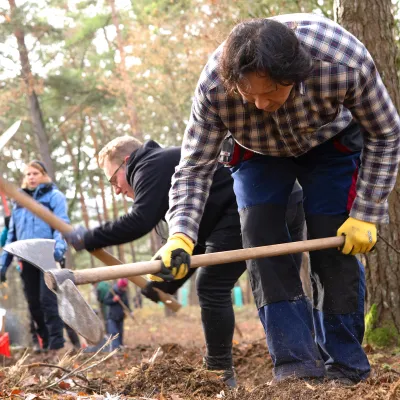 Gruppe mit Wiedehopfhauen