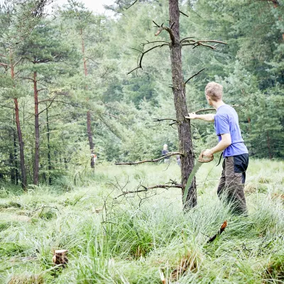 Mann auf Wiese im Wald mit Säge