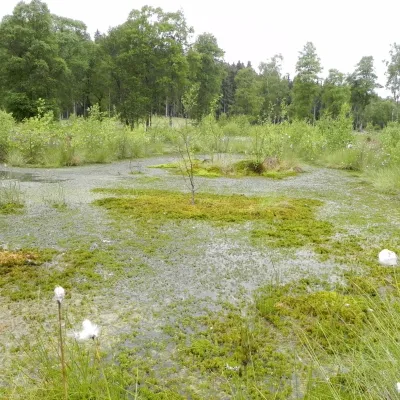 Truffvenn_Bildergalerie_Bergwaldprojekt_2