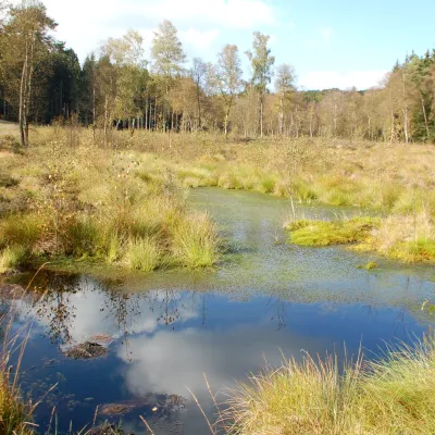 Truffvenn_Bildergalerie_Bergwaldprojekt_1