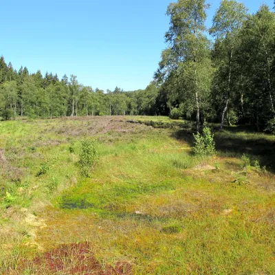 Truffvenn_Bildergalerie_Bergwaldprojekt_3