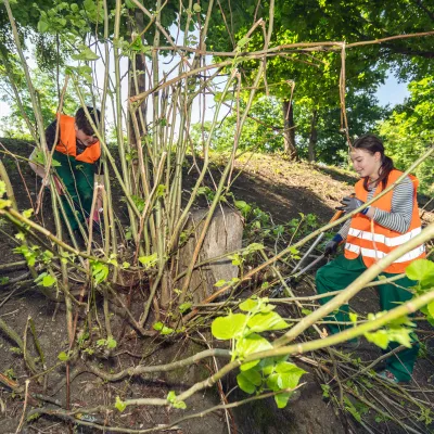 Teilnehmende bei der Pflege