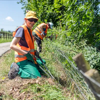 Zwei Teilnehmende bei der Pflege am Strassenrand