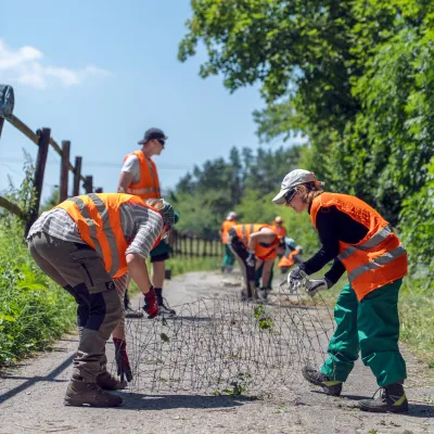 Aufrollen des Maschendrahtzaun