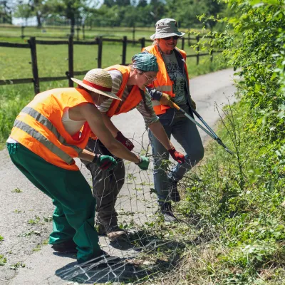 Zwei Teilnehmende beim Zaunabbau