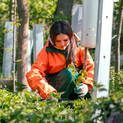 Teilnehmerin bei der Pflanzung