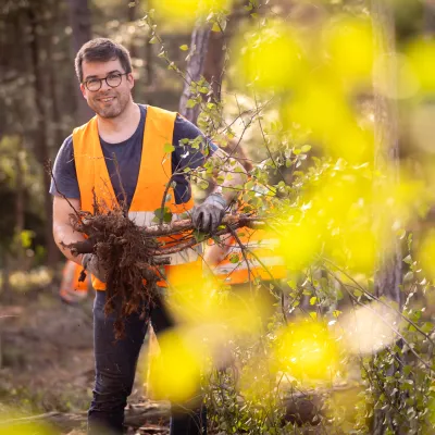 Teilnehmer beim Abtransport von Gehölz