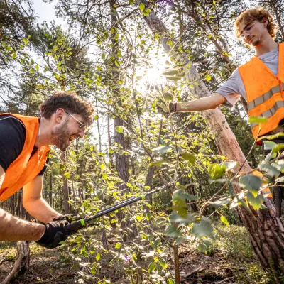 Teilnehmer bei der Gehölzentnahme