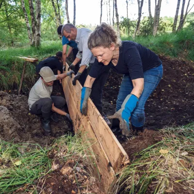 Aufbau einer Spundwand