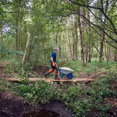 Projektleiter mit Schubkarre im Wald