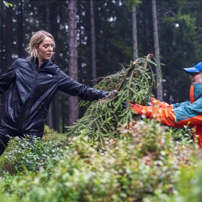 Teilnehmende reichen Zweige weiter