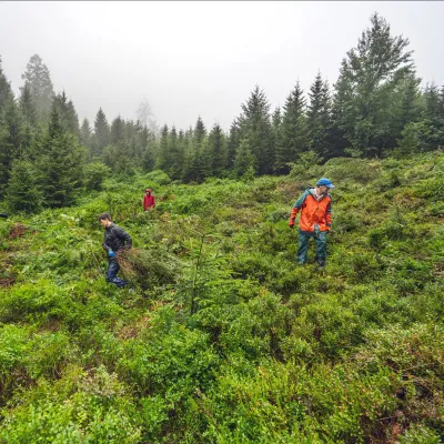 Teilnehmende auf der Fläche