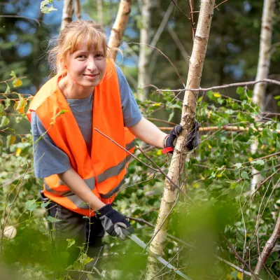 Teilnehmerin bei der Entnahme eines kleinen Baumes