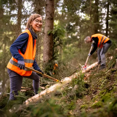 Teilnehmende beim Schälen der Rinde