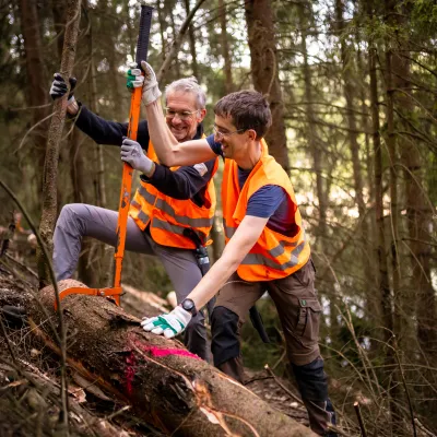 Teilnehmer mit Baumstämmen