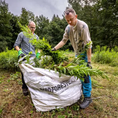 Teilnehmende beim Abtransport der entnommenen Pflanzen