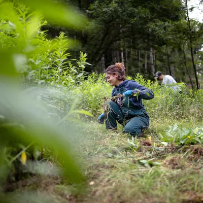 Teilnehmerin bei der Entnahme von Gehölzen