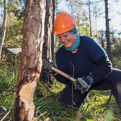 Teilnehmerin bei der Fällung eines Laubbaumes