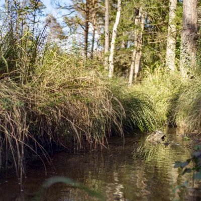 Gewaesser_Augsburg_Bergwaldprojekt