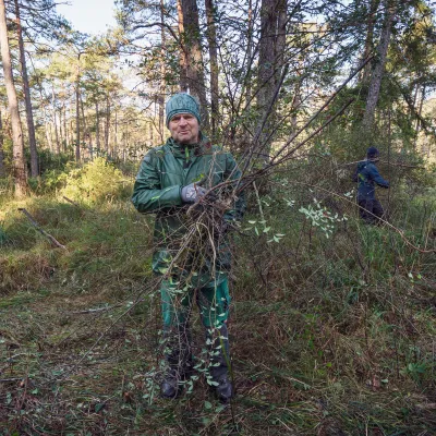 Teilnehmer mit abgeschnittenen Ästen