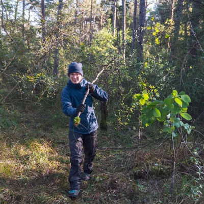 Teilnehmerin beim Abtransport von Schnittgut