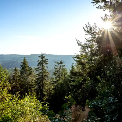 Weiter Blick über den Schwarzwald