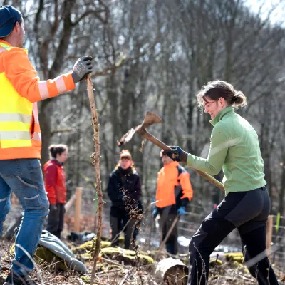 Fünf Teilnehmende bei der Pflanzung in Hemer