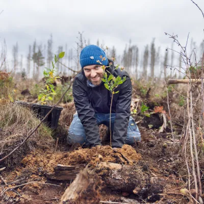 Lächelnder Mann auf den Knien pflanzt junges Bäumchen