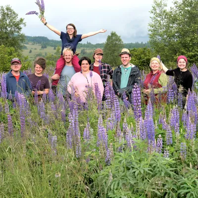 Teilnehmende inmitten von Lupinen