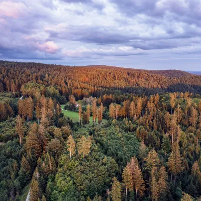 Weiter Blick aus der Höhe über einen Wald in Fichtelberg