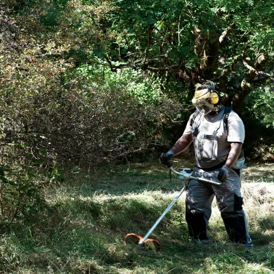 Teilnehmerin bei der Mahd