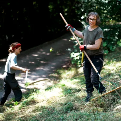 Lächelnde Teilnehmerinnen rechen Schnittgut zusammen