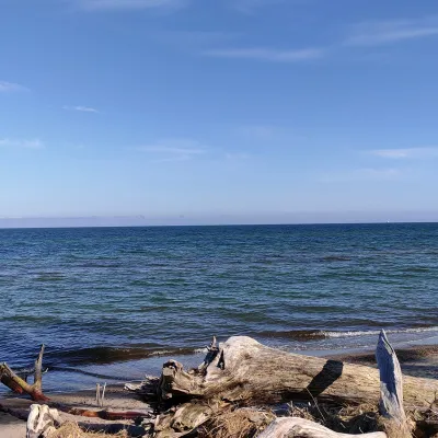 Strand_Rostock_Bergwaldprojekt_2