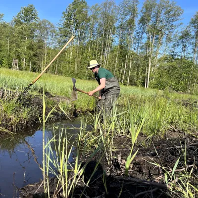Moor_Rostock_Bergwaldprojekt