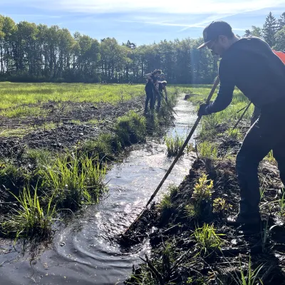 Moor_Rostock_Bergwaldprojekt_2