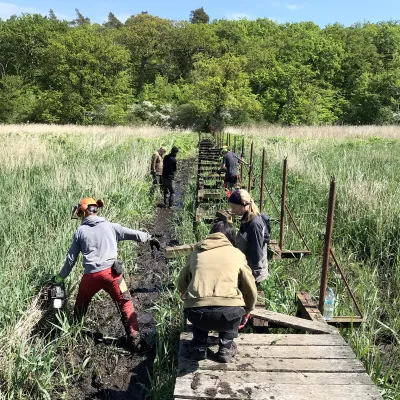Wegebau_Rostock_Bergwaldprojekt
