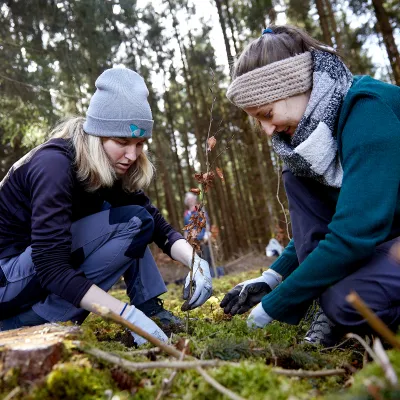 Zwei Teilnehmerinnen pflanzen gemeinsam ein Bäumchen