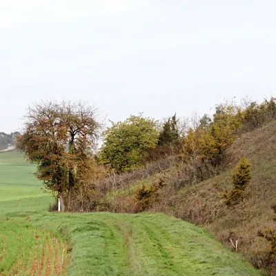 Landschaft Marktheidenfelder Platte