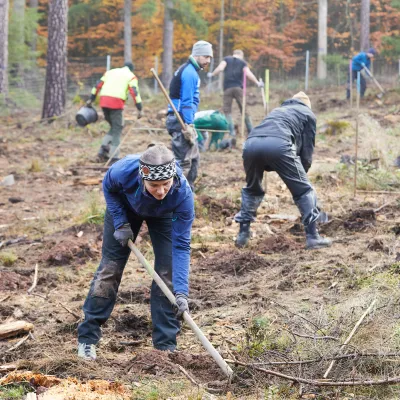 Teilnehmende bei der Pflanzung