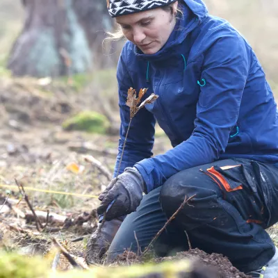 Teilnehmerin bei der Pflanzung