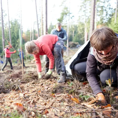 Teilnehmende bei der Pflanzung