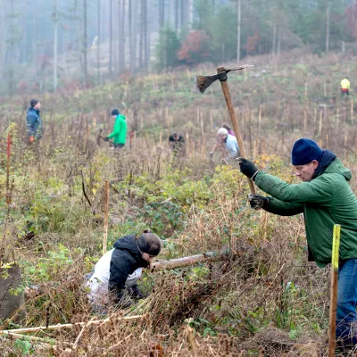 Pflanzfläche mit fleißigen Teilnehmenden