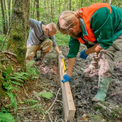 Zwei Teilnehmer mit Sperre