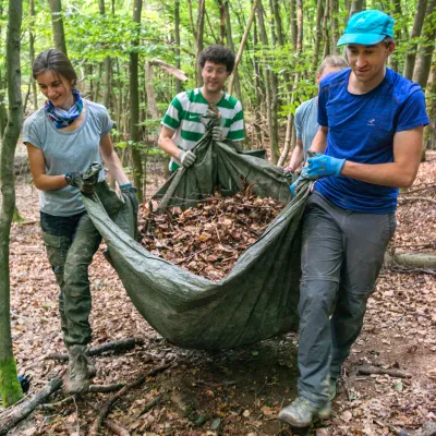 Abtransport von Laub