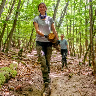 Abtransport von entnommenen Bäumen